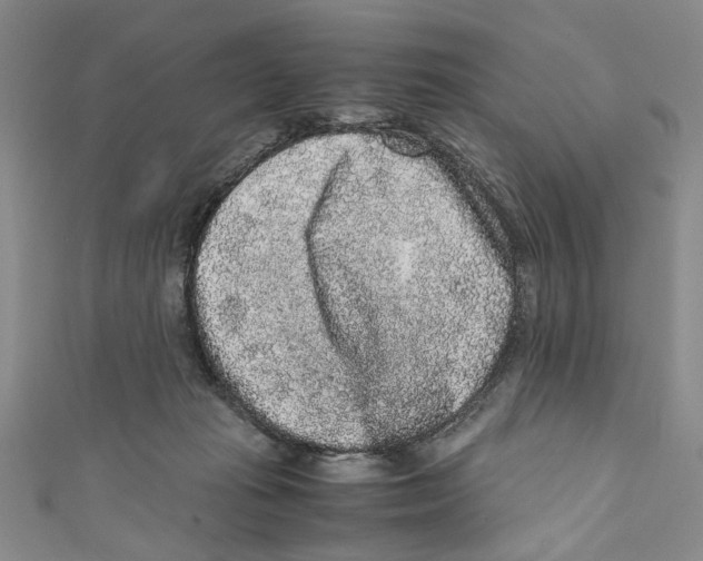 X0000110950269200907171635