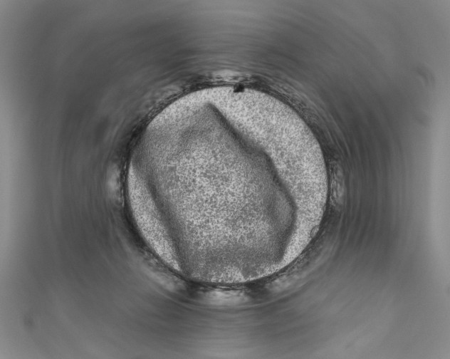 X0000110950270200907171635