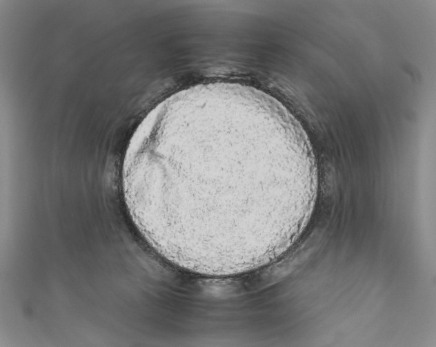 X0000110950273200907171635