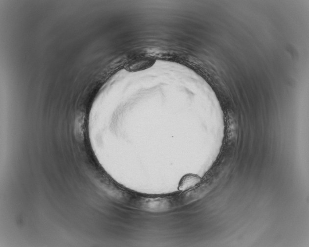X0000110950275200907171635