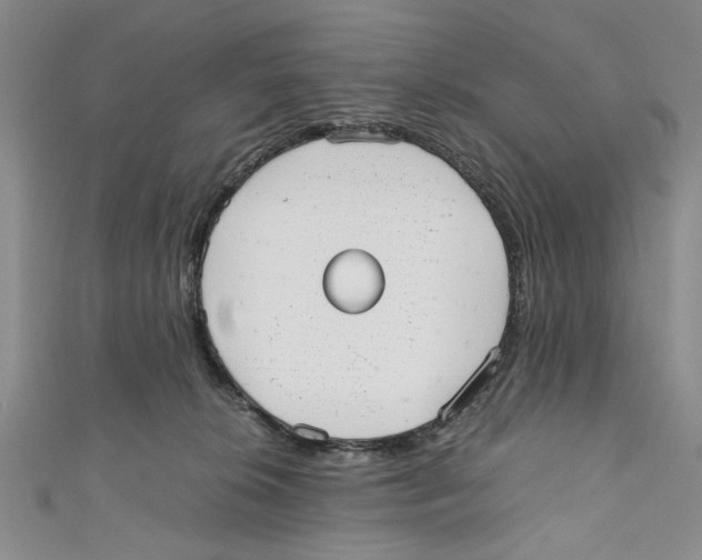 X0000110950276200907171635
