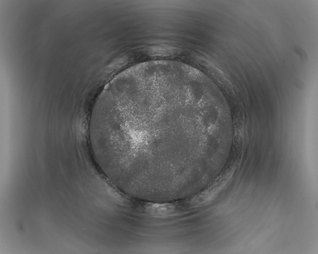 X0000110950277200907171635