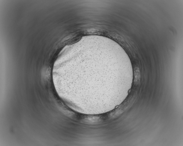 X0000110950278200907171635