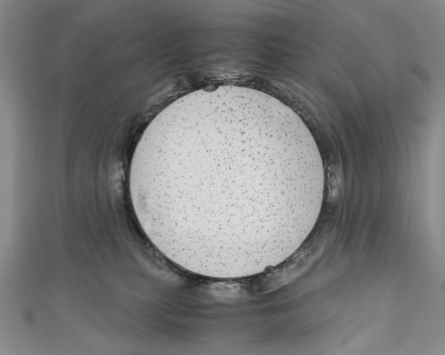 X0000110950279200907171635