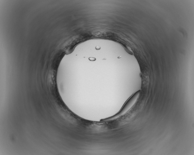 X0000110950280200907171635