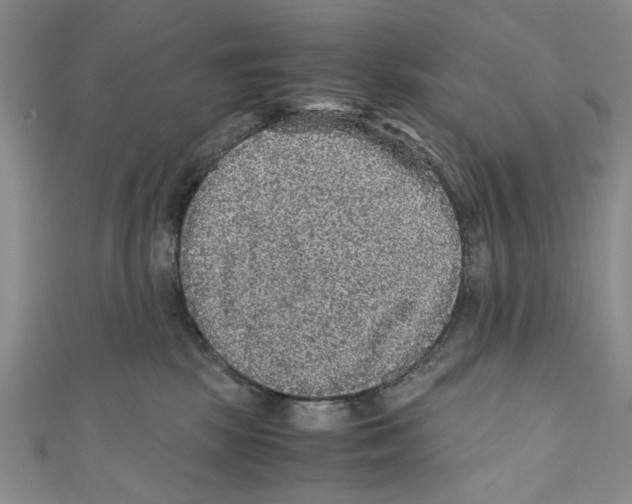 X0000110950281200907171635
