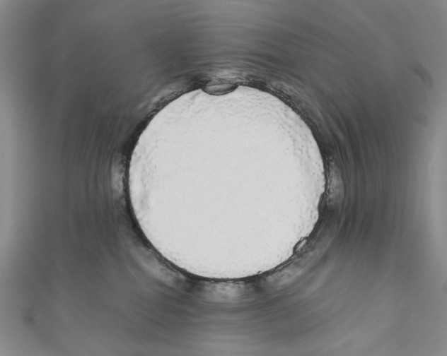 X0000110950282200907171635