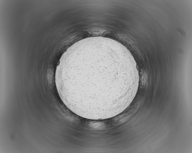 X0000110950283200907171635