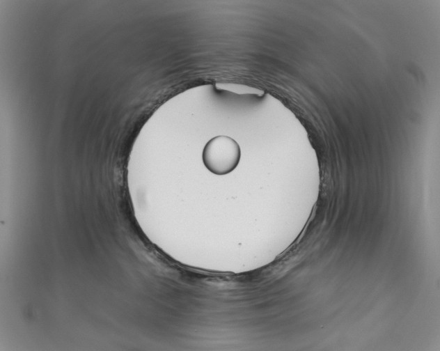 X0000110950284200907171635