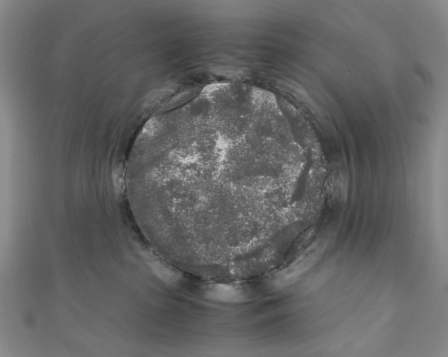 X0000110950285200907171635