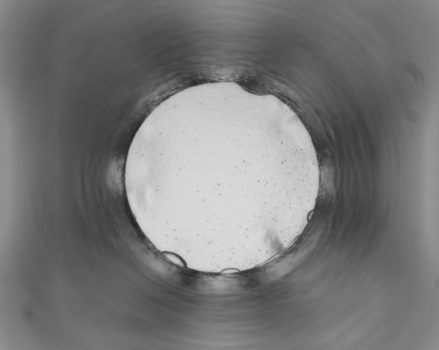 X0000110950286200907171635