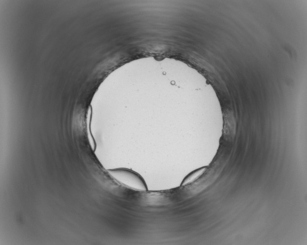 X0000110950287200907171635