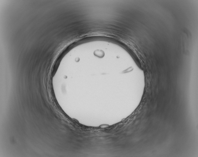 X0000110950289200907171634