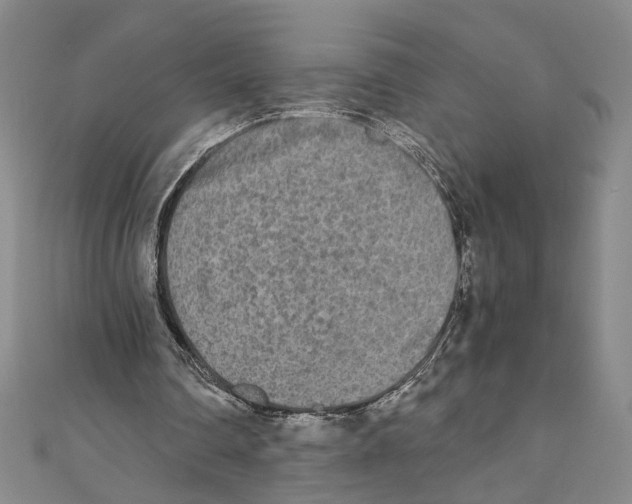 X0000110950290200907171634