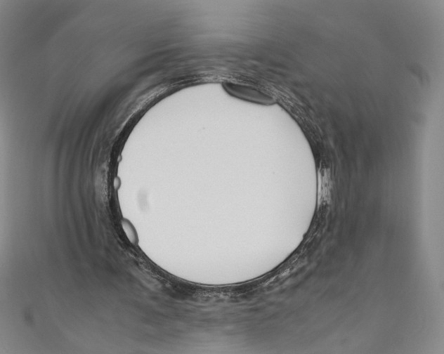 X0000110950291200907171634