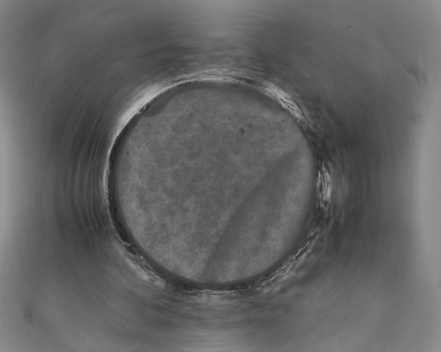 X0000110950292200907171634
