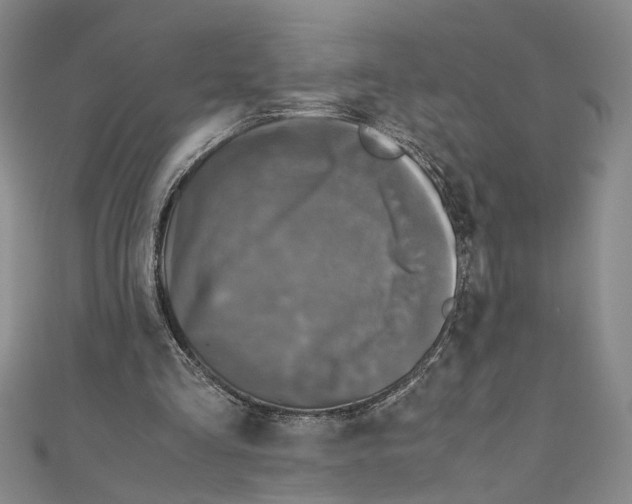 X0000110950293200907171634