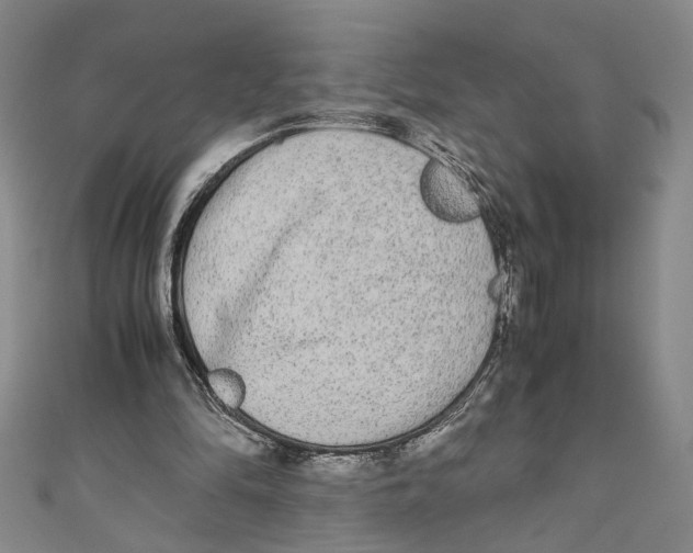 X0000110950294200907171634