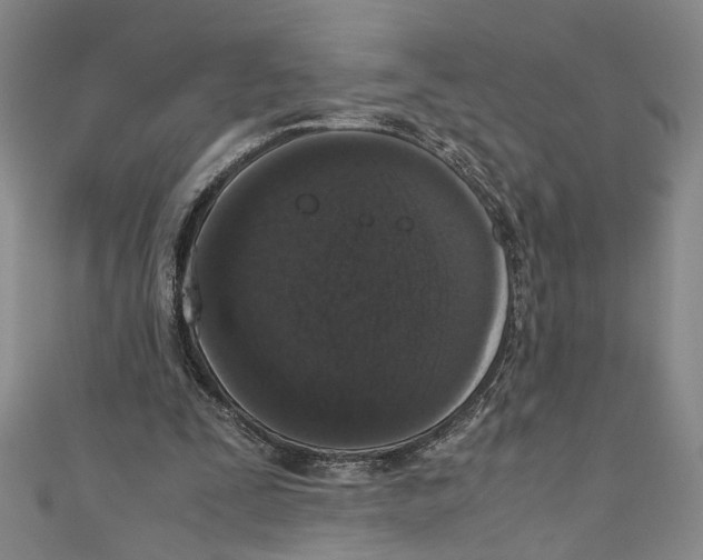 X0000110950295200907171634