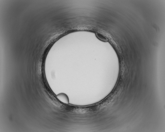 X0000110950299200907171634