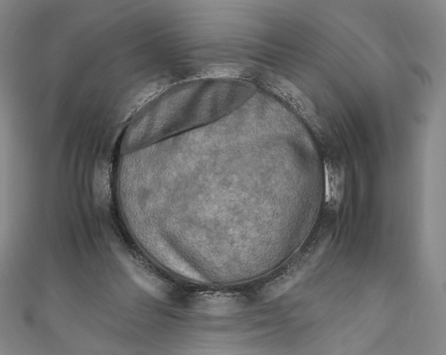 X0000110950300200907171634