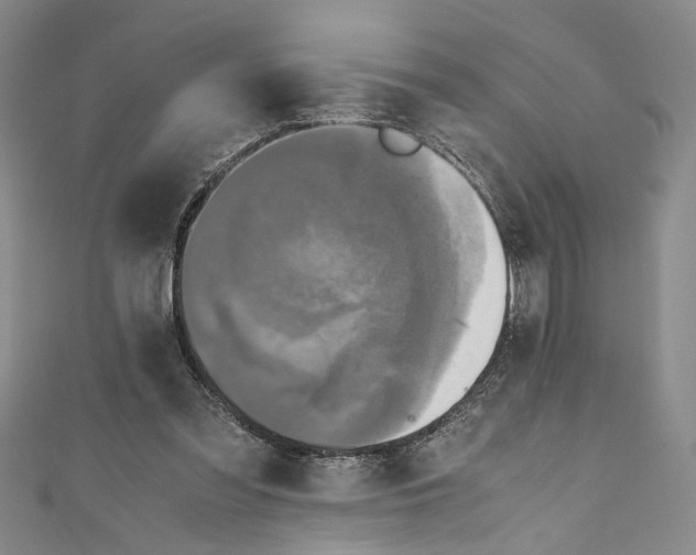 X0000110950301200907171634