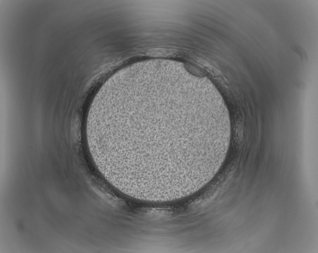 X0000110950303200907171634