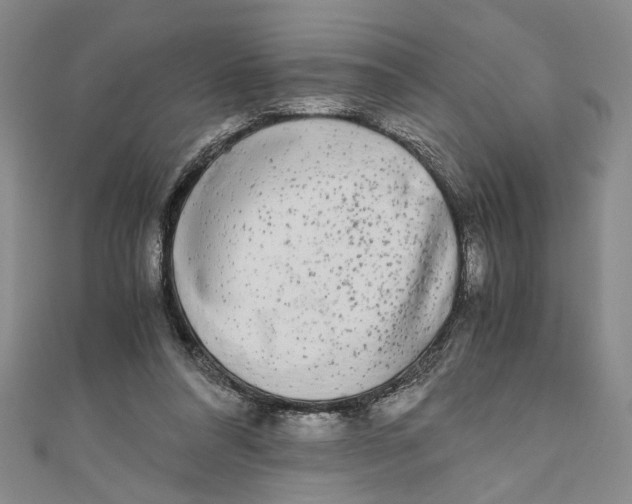X0000110950304200907171634