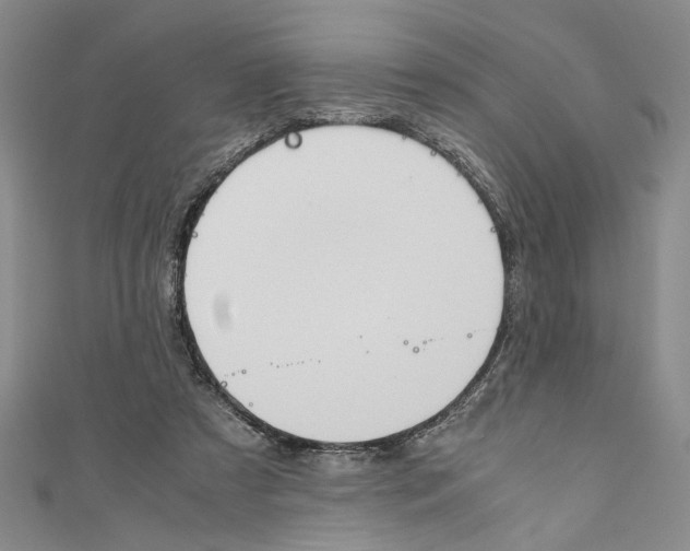 X0000110950305200907171634