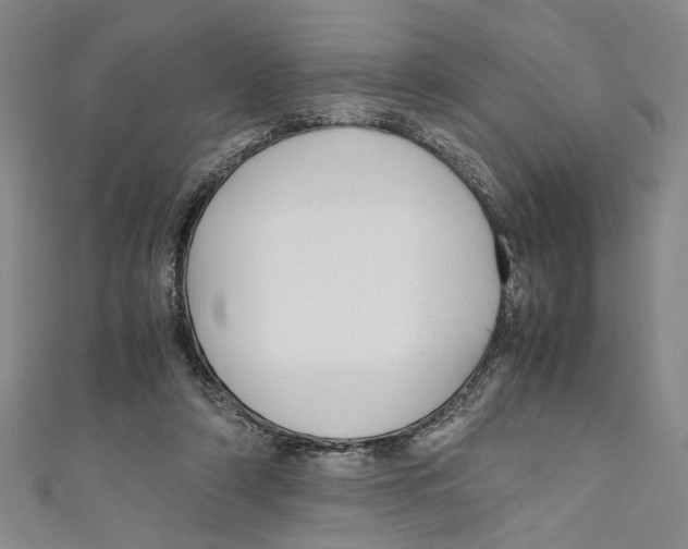 X0000110950306200907171634