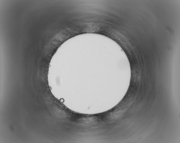X0000110950307200907171634