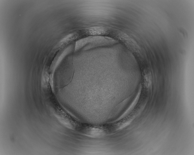 X0000110950308200907171634