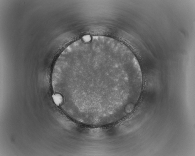 X0000110950309200907171634