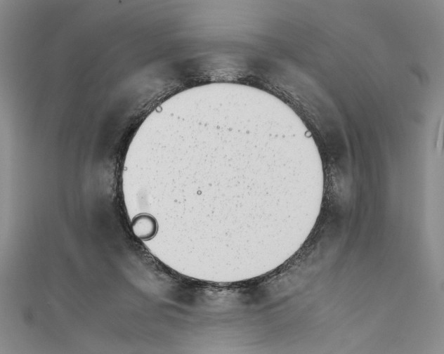 X0000110950311200907171634