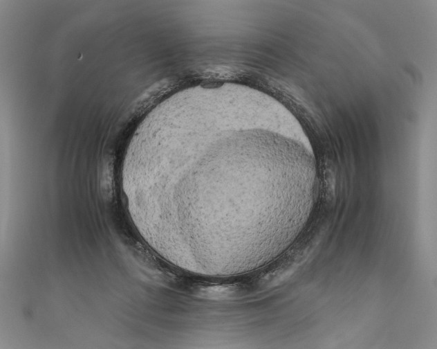 X0000110950312200907171634