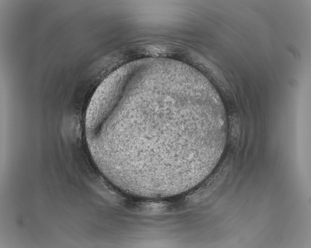 X0000110950313200907171634