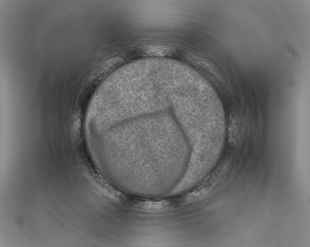 X0000110950314200907171634