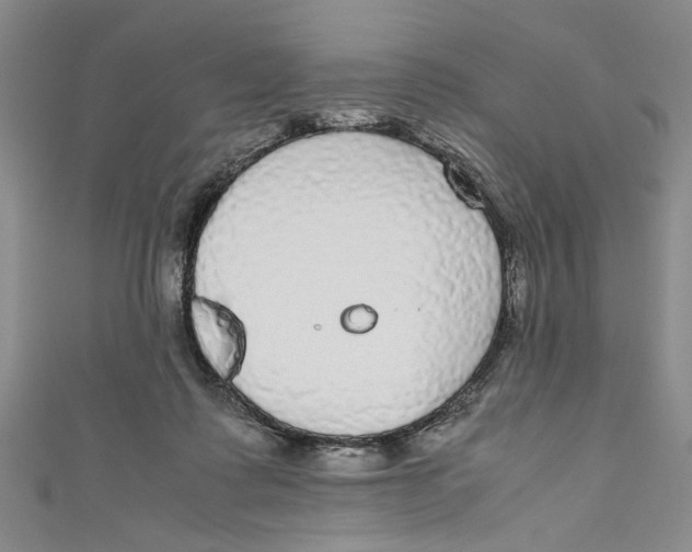 X0000110950315200907171634