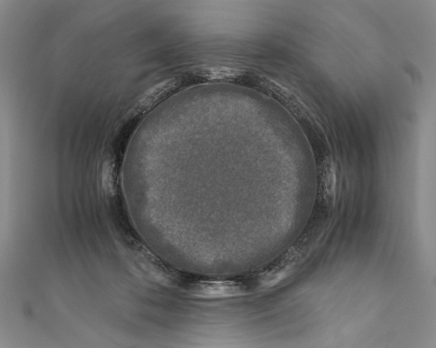 X0000110950316200907171634