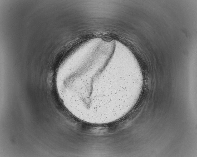 X0000110950319200907171634