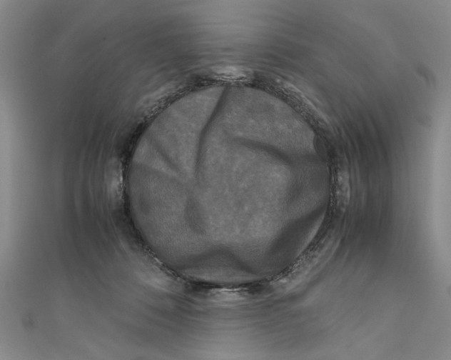 X0000110950320200907171634
