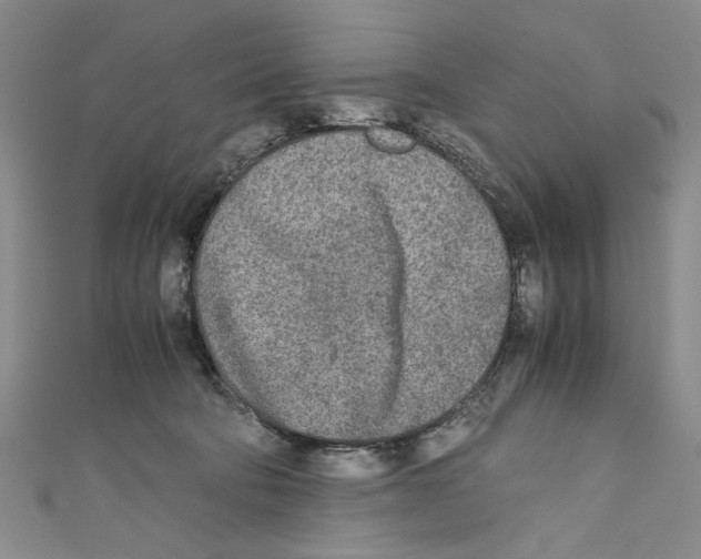 X0000110950322200907171634