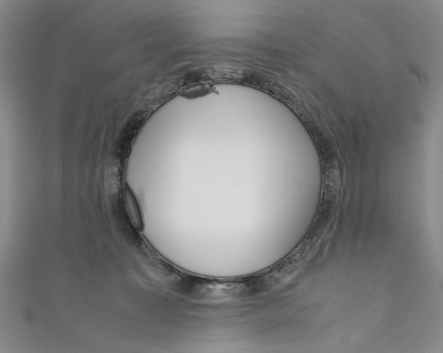 X0000110950323200907171634