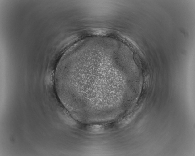 X0000110950325200907171634