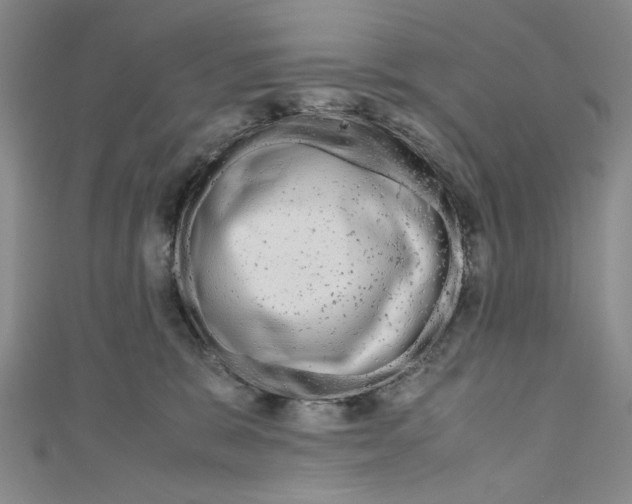 X0000110950327200907171634
