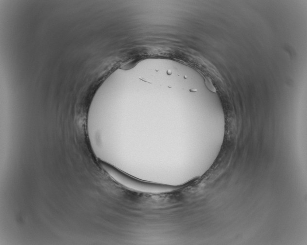 X0000110950329200907171634