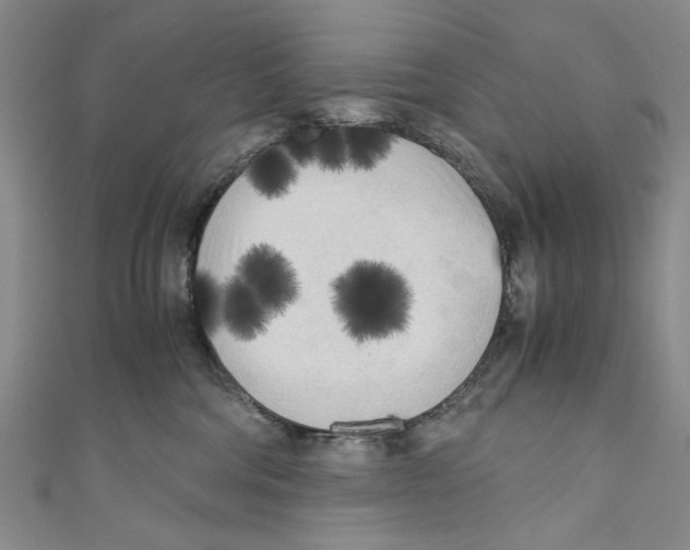 X0000110950330200907171634