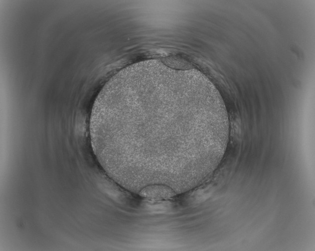 X0000110950331200907171634