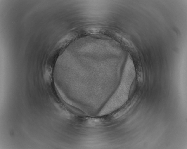 X0000110950332200907171634