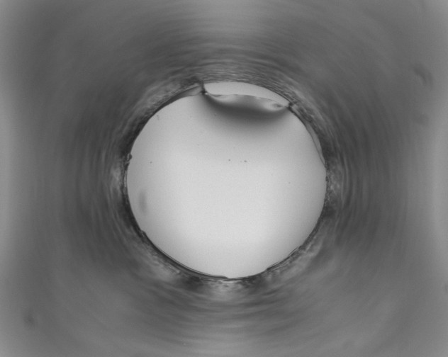X0000110950333200907171634
